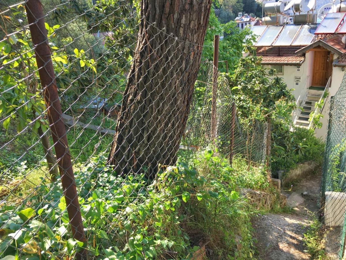 Home Dream View - Fethiye Centre Buitenkant foto